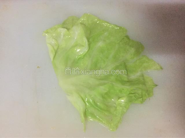 取一片卷心菜沥干水份