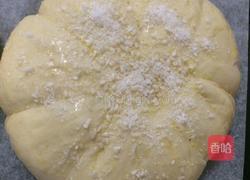 ，南瓜芝麻椰蓉馅面包。的做法图解14
