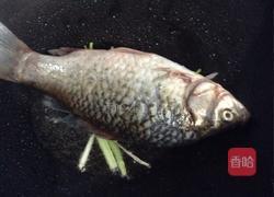 白萝卜丝鲫鱼汤的做法图解4