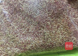 爱玉的做法图解1