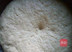 卷心菜肉馅包子的做法图解5