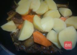 土豆焖鸡的做法图解6