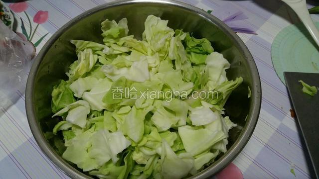 将卷心菜用手撕成鸡蛋黄大的块