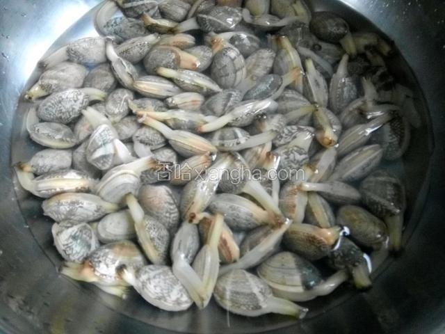 花甲泡盐水，加一点香油，让花甲吐沙，水不要太多，花甲也要呼吸的，水量刚刚没过最好