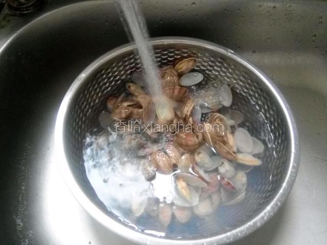 流水洗净花甲内部，检查还有细沙