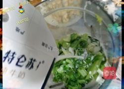 青菜奶香花卷的做法图解2