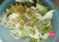 手撕卷心菜的做法图解1