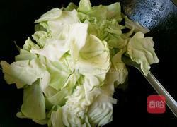 手撕卷心菜的做法图解6