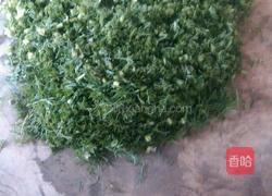 鸡蛋茴香包子的做法图解2