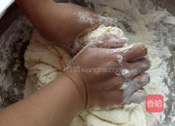 做馒头花卷的做法的做法图解4