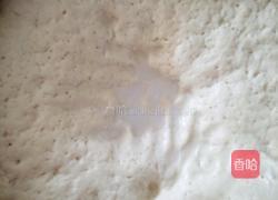 做馒头花卷的做法的做法图解10