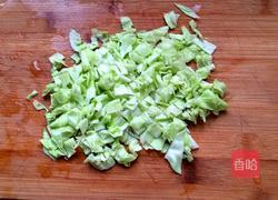 蔬菜鸡蛋早餐饼的做法图解2