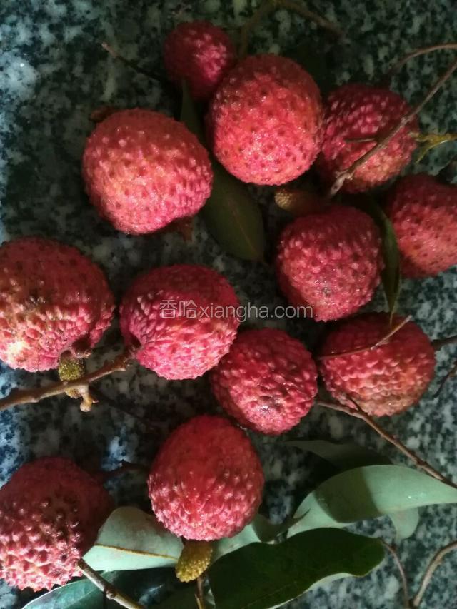 荔枝