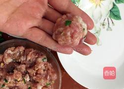 白萝卜丝肉丸的做法图解9