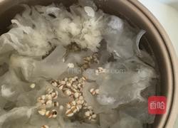 银耳薏米红枣汤的做法图解3