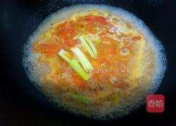 西红柿炖鱼块的做法图解11