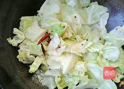 手撕卷心菜的做法图解7