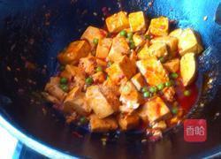香辣青豆烧豆腐的做法图解8