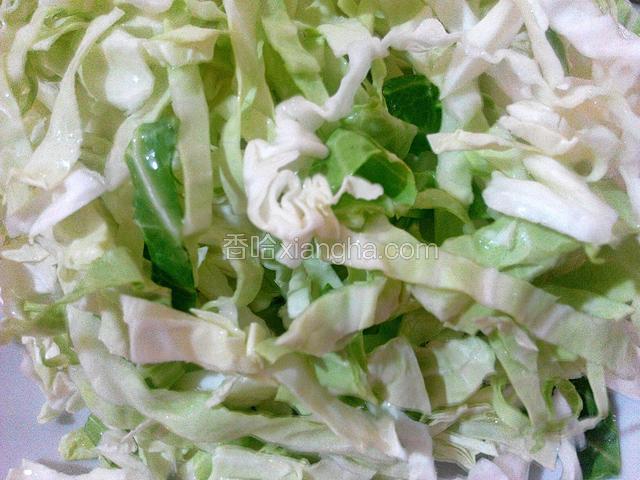 卷心菜切丝、清洗干净