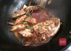 红烧鲢鱼的做法图解5