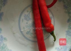 清炒南瓜藤的做法图解3