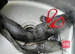 冰糖鲶鱼的做法图解2