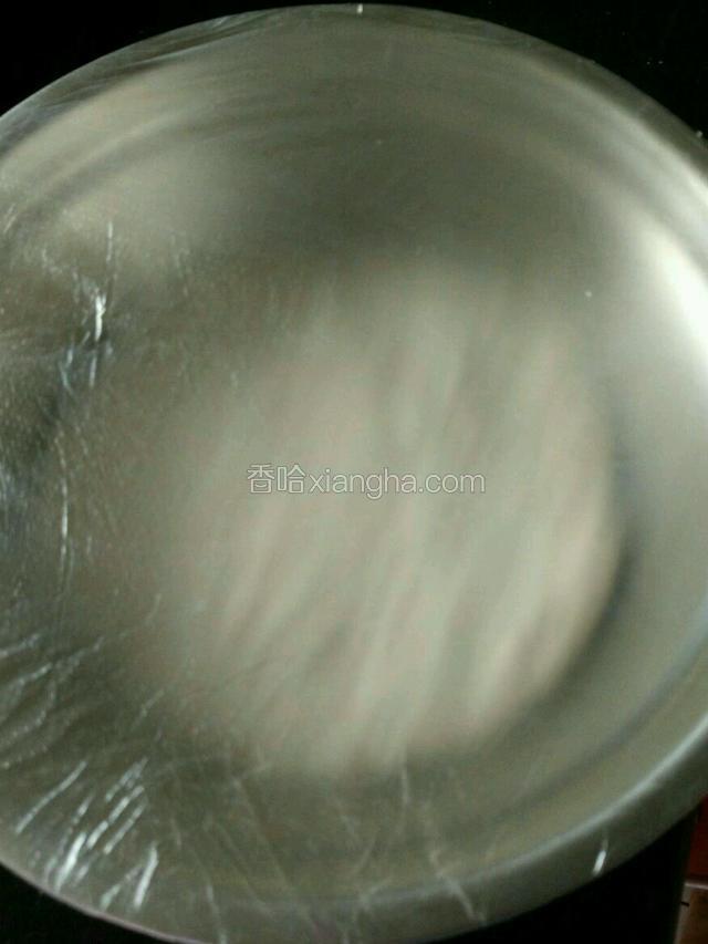 蒙上保鲜膜，静置发酵至两倍大