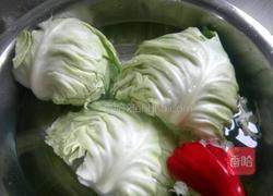 酸辣卷心菜的做法图解1