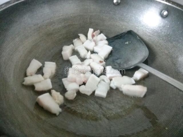 锅放一点点油炸肥肉