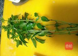 金不换炒海瓜子的做法图解3