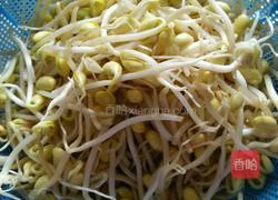 豆芽炒辣椒的做法图解1