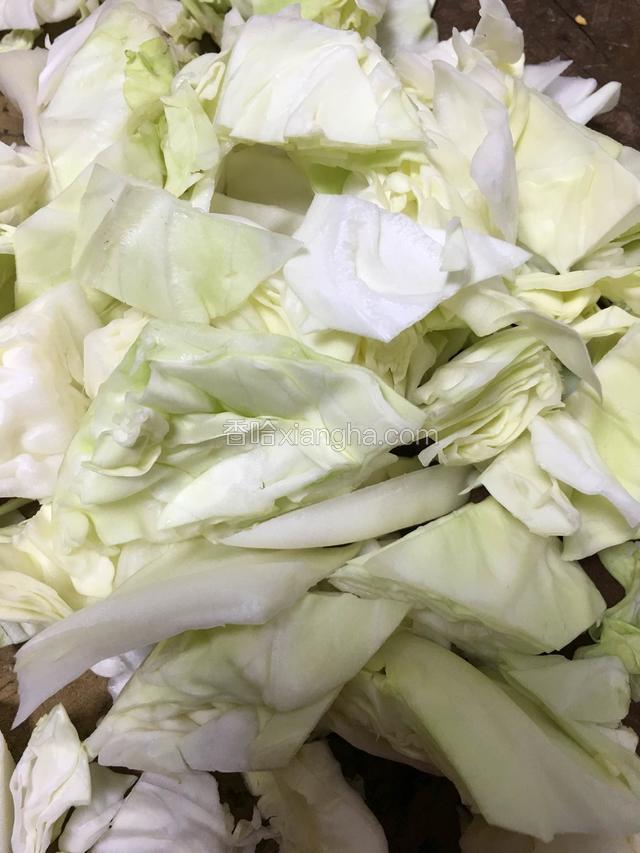 卷心菜切块状；