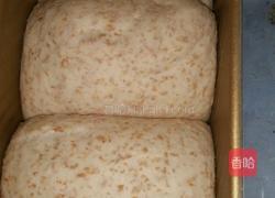 全麦吐司的做法图解7