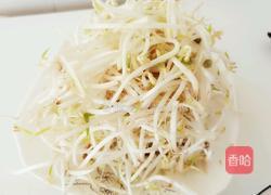 炒绿豆芽的做法图解1