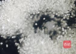 哈密瓜酸奶西米露的做法图解4