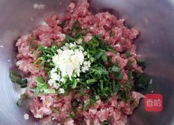 开口烧麦~胡萝卜木耳鲜肉馅的做法图解6