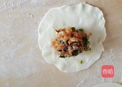 开口烧麦~胡萝卜木耳鲜肉馅的做法图解13