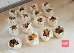 开口烧麦~胡萝卜木耳鲜肉馅的做法图解16