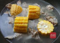 萝卜玉米骨头汤的做法图解5