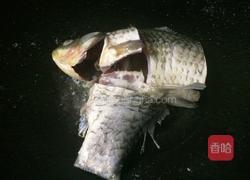 豆腐炖鲫鱼汤的做法图解3