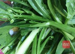 蒜蓉菜心的做法图解3