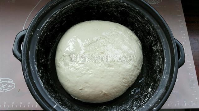 然后慢慢加入面粉中和成面团，表面抹一层油，盖上保鲜膜室温发酵1-2小时。