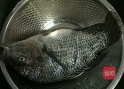 糟辣子渎鱼的做法图解1