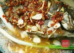 糟辣子渎鱼的做法图解6
