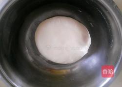 韭菜鸡蛋馅饺子的做法图解4