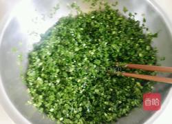 韭菜鸡蛋馅饺子的做法图解11