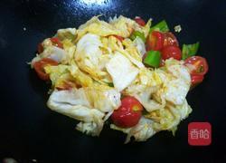 卷心菜炒圣女果的做法图解7