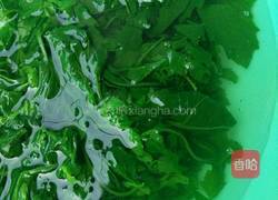 凉拌灰灰菜的做法图解3