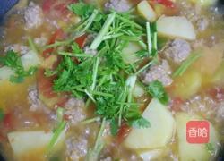 西红柿土豆煮肉丸的做法图解14