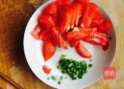 西红柿鸡蛋面的做法图解4